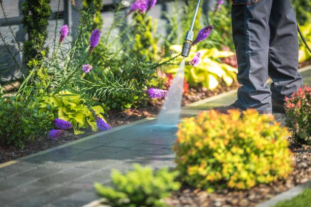 Best Post-Construction Pressure Washing  in Lemoyne, PA